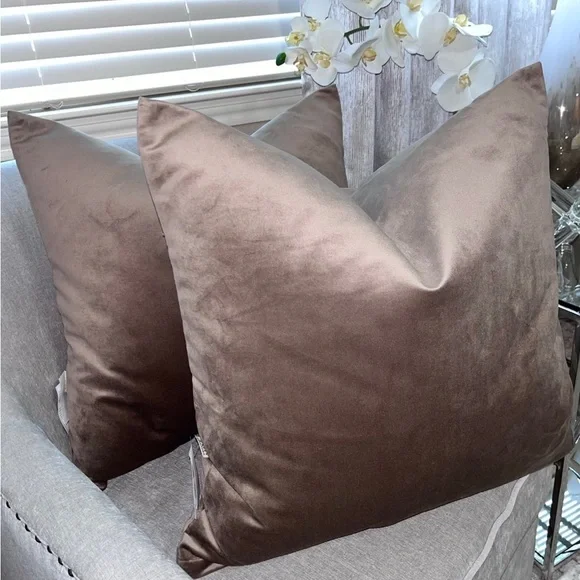 1-NWT TGH TESSITURA VELVET DECORATIVE PILLOWS (Read description for details)